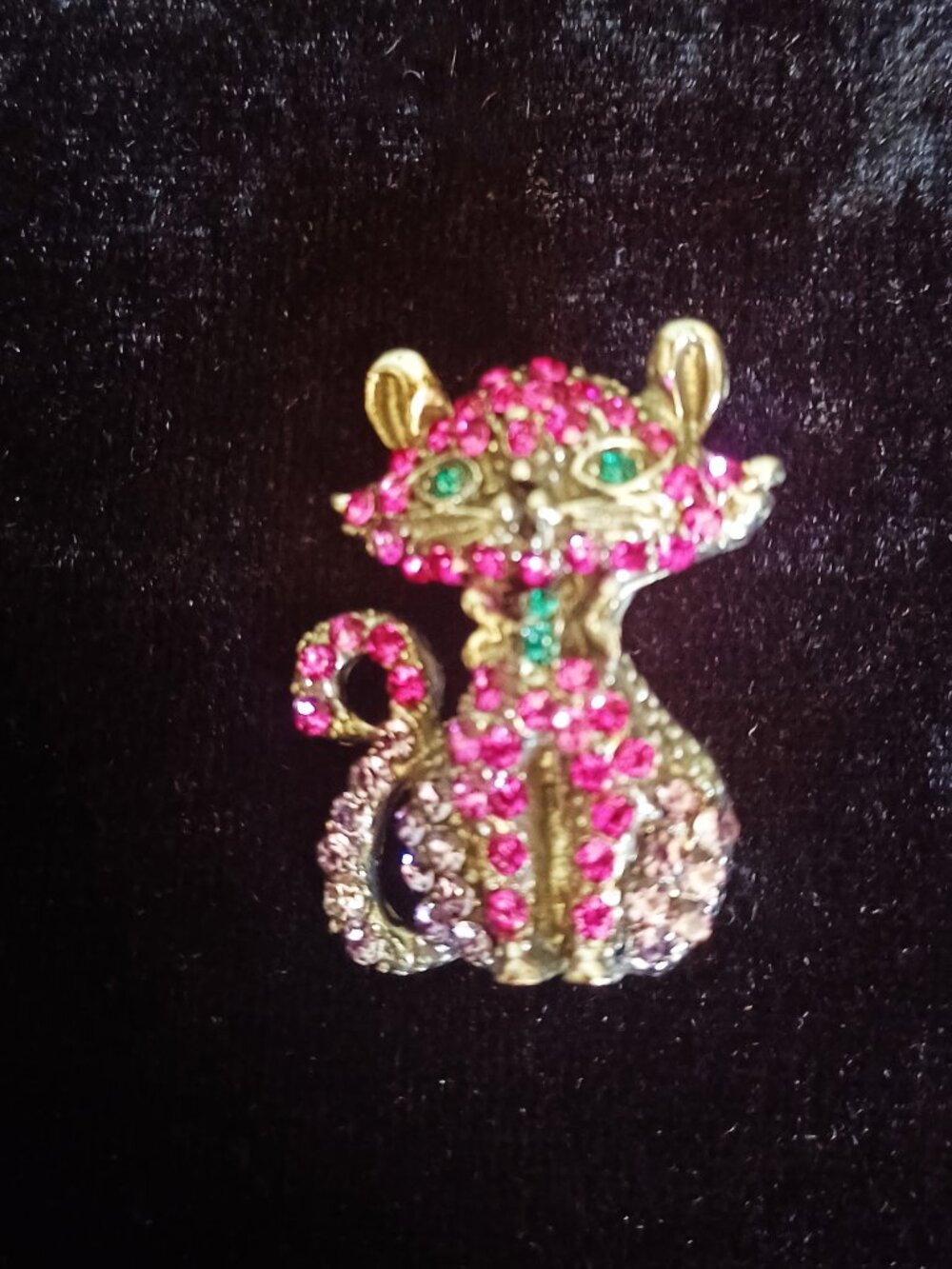 Adorable Pink Kitty
